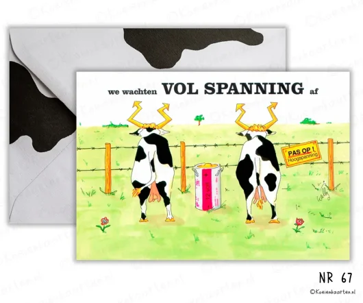 we wachten vol spanning af Nr 67 koeienkaarten koe cartoon wenskaart