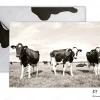 staand KF 103 koeien fotokaart koeienkaarten