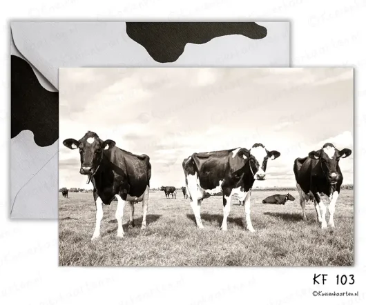 staand KF 103 koeien fotokaart koeienkaarten