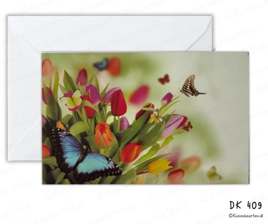 Wenskaart Vlinders en tulpen prachtige kleuren zonder tekst DK 409
