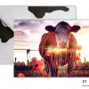 Fotokaart koe klaprozen koeienkaart KF 105