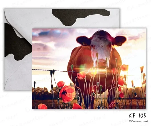 Fotokaart koe klaprozen koeienkaart KF 105